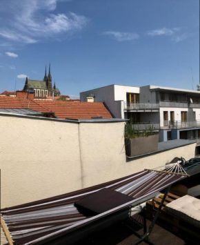 V centru mesta s vyhledem na Petra, a parkovani, Brno